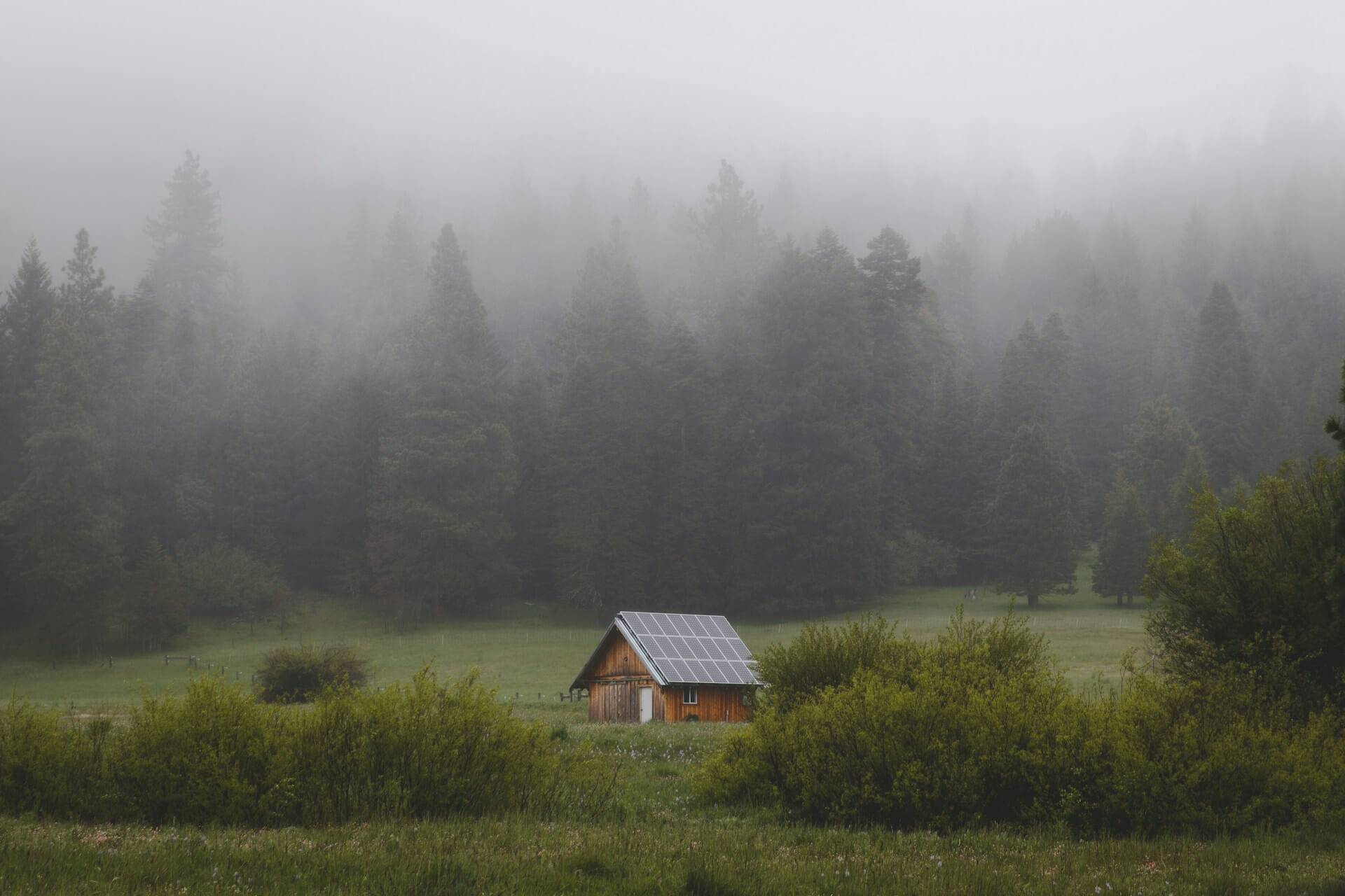 Casa rodeada por un bosque con paneles solares en el techo